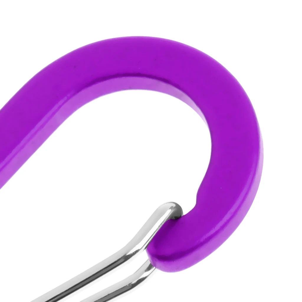 6 Pieces Aluminum D-Ring Carabiner Clip Spring Snap Hook Keychain