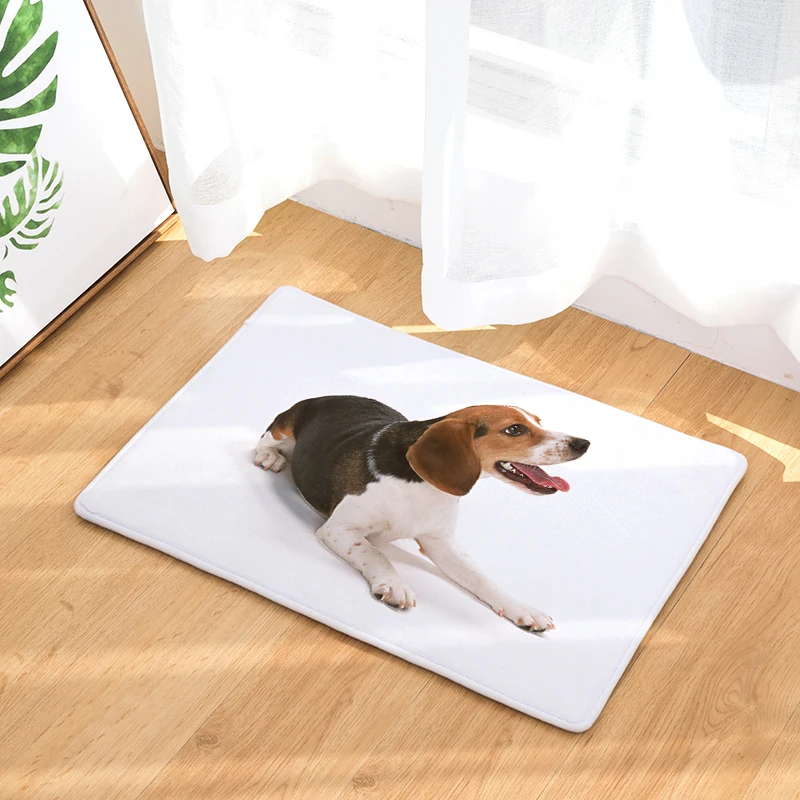 Новые ковры с принтом собаки, Нескользящие кухонные коврики для дома, гостиной, коврики 40x60 см