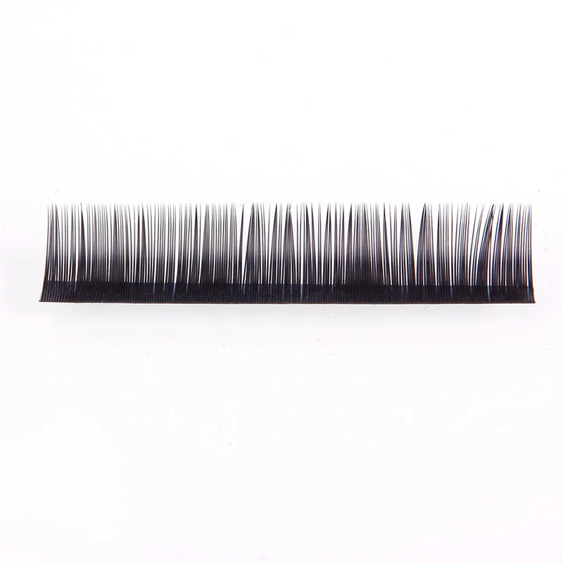 233339_no-logo_233339-1-09