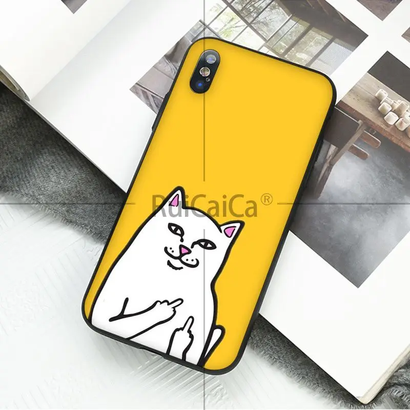 Art middle finger cat