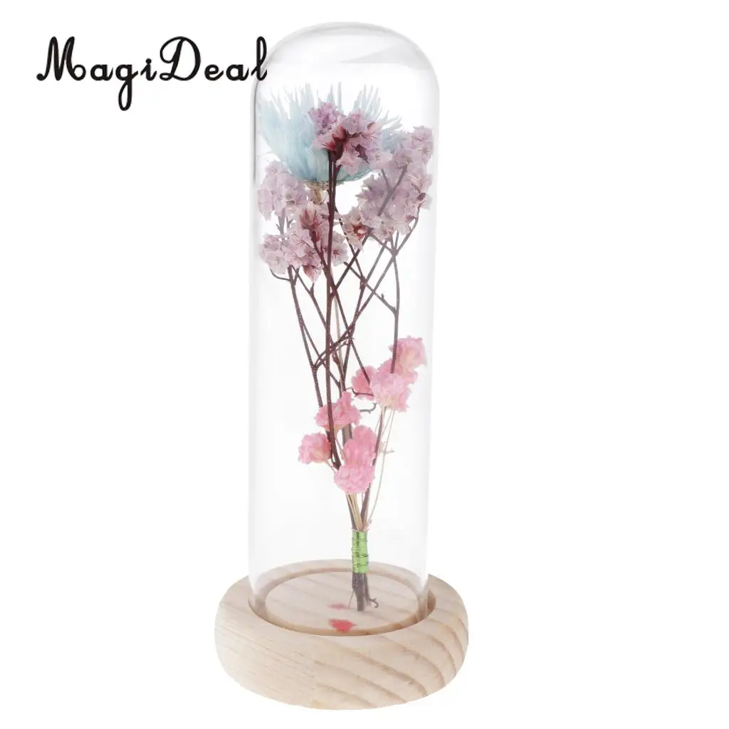 Clear Glass Display Cloche Bell Jar Dried Immortal Flower Preservation Vase Wooden Base Cafe Bar Countertop Decor Ornament