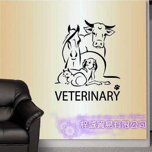 DCTAL Dog Cat VETERINARY Pet Shop Sticker Decal Posters Vinyl Wall Art Decals Parede Decor Mural Pet Shop Sticker
