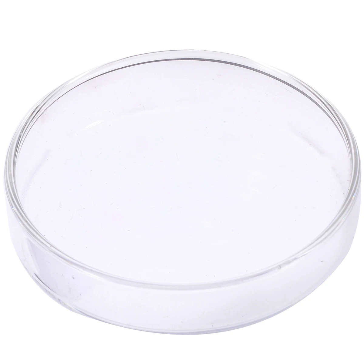 Clear Acrylic Shrimp Feeding Food Dish Feeder Container for Aquarium Fish Tank 6.5cm x 1.5cm
