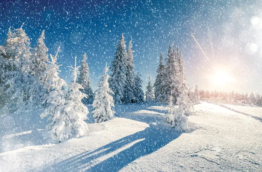 

SHANNY Vinyl Custom Photography Backdrops Photo Studio Props Winter and Snow theme Photography Background SZ-13