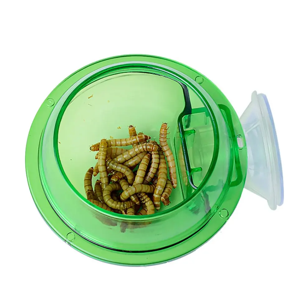 Eonmir Suction Cup Feeder Reptiles Ledge Accessories Supplies For