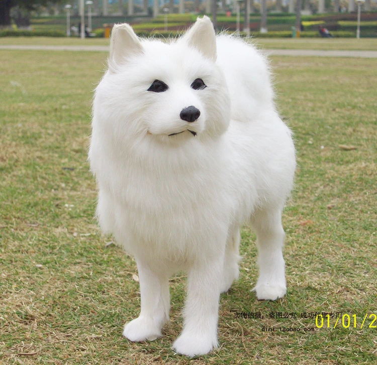 Simulation D Animaux Blancs Samoyed Decoration Artisanale Modele De Chien Jouet Pour Bebe Accessoires De Voiture Cadeau D446 Aliexpress