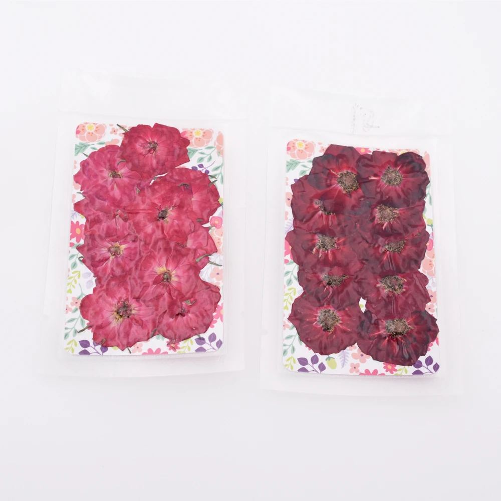 10 шт. цветок розы Натуральные сушеные цветы сделай сам прессованный Гербария