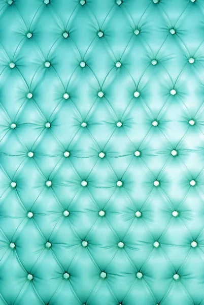 

Beautiful Photo background for kids light green tufted photography backdrops for portrait photo studio background fotografia