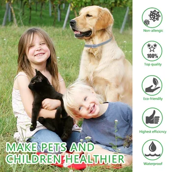 

Waterproof Flea Tick Collar 8 Month Protection Collars for Pets Dogs QJS Shop