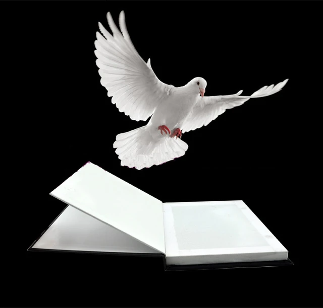 Metamopho Dove/flower From Book Close Up Stage Magic Tricks For  Professional Magician Magia Toys Kid Best Gift - Magic Tricks - AliExpress
