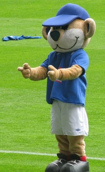 Fast custom football sport bear newcastle cartton Mascot