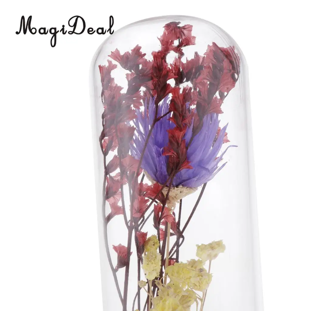 Clear Glass Display Cloche Bell Jar Dried Immortal Flower Preservation Vase Wooden Base Cafe Bar Countertop Decor Ornament