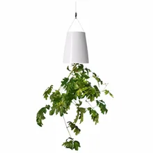 Creative Hanging Inverted Sky Plant Flower Pot Automatic Watering Hanging Upside Down Plastic Small Flowerpot for Family Garden