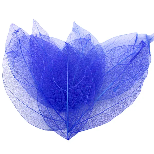 Lucia crafts около 6,5*3 см, разные цвета на выбор натуральный каркас листьев набор «сделай сам» для 12 шт./лот C0701 - Цвет: Royal blue  12pcs