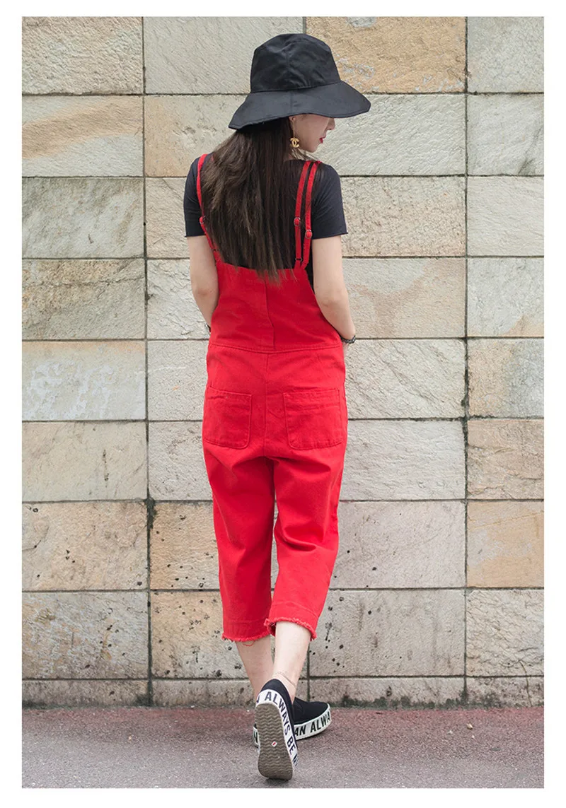 4531300263_514835256_02