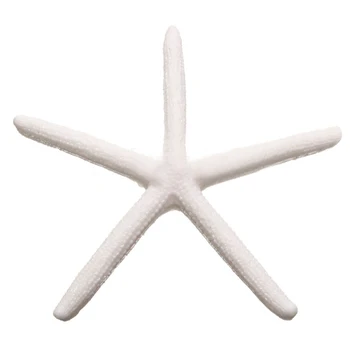 

Practical Boutique 12pcs 10-12cm Beautiful White Finger Starfish Beach Wedding House Crafts Decor