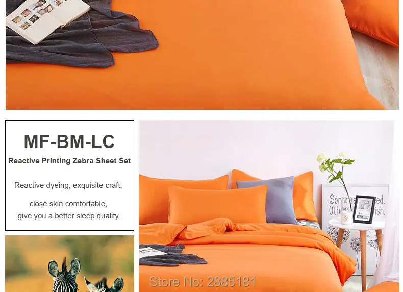 MF-BM-LC_02