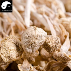 

Dried Enoki Mushrooms Flammulina Polysaccharide Nutrition For Health Care Natural Dietary Supplements