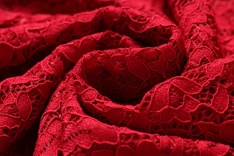 ShejoinSheenjoy Autumn Stand Hollow Lace Long Sleeve Dress Women Winter Red Buttons A-Line Party Dresses Black Women Long Dress (30)