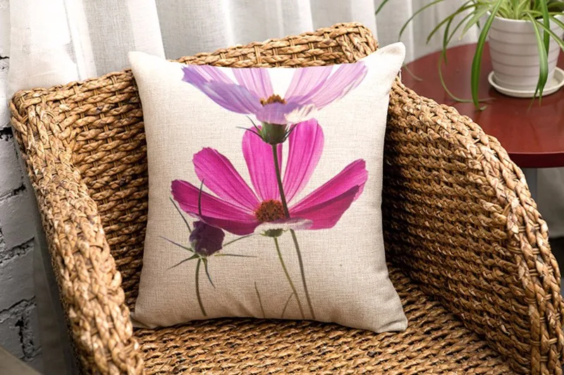 cushion800px-S5