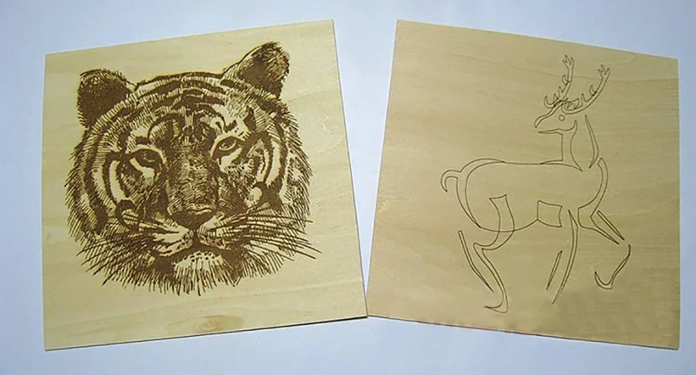 HTB1BVgjnxuTBuNkHFNRq6A9qpXaE