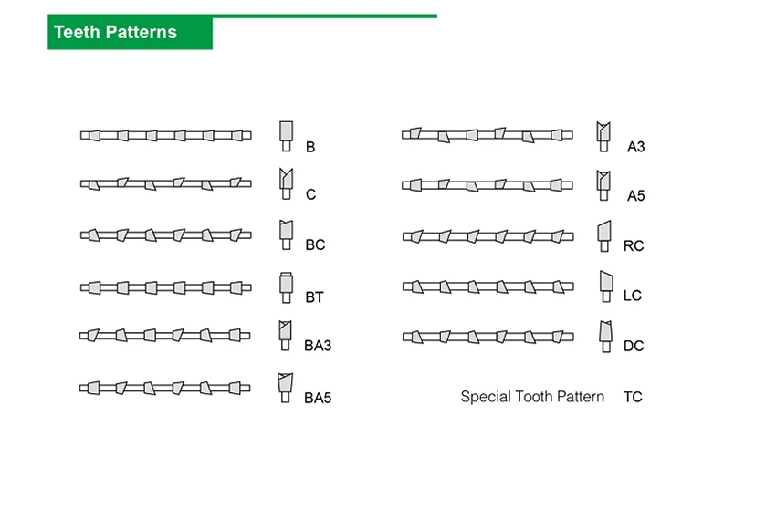 teeth type