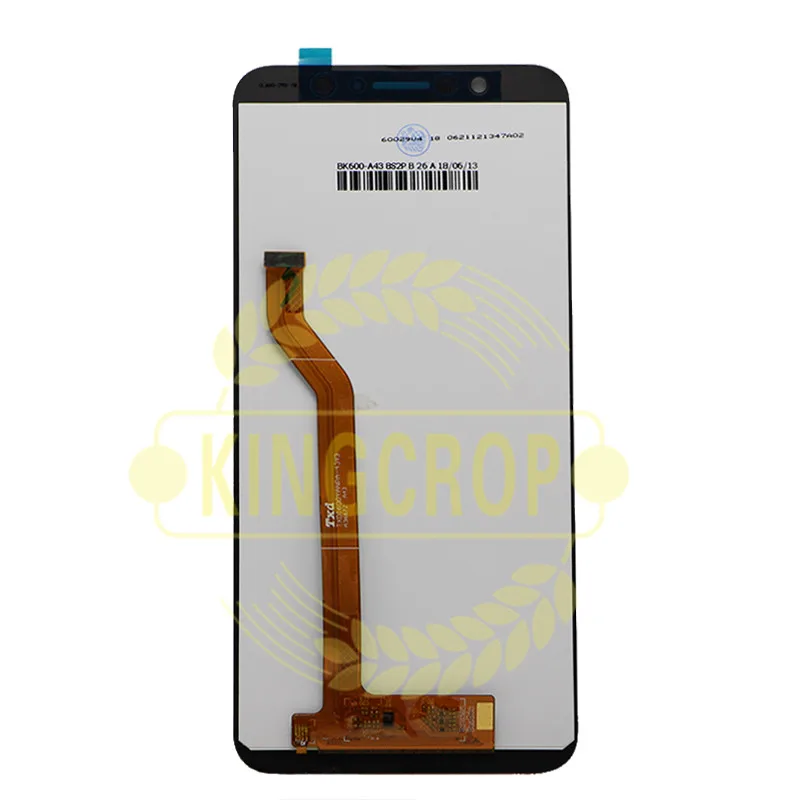 ZB601KL lcd (1)
