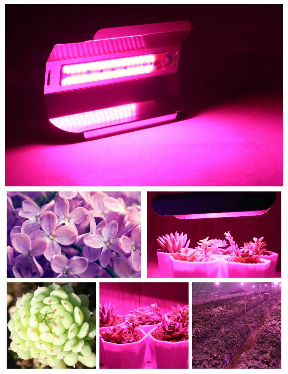 Светодиодный светильник LATTUSO 30 Вт 50 Вт 80 Вт высокой мощности полный спектр переменного тока 110 В 220 В светодиодный светильник для выращивания растений