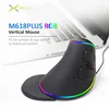 Эргономичная Вертикальная мышь Delux M618Plus RGB с 6 кнопками, оптическая компьютерная мышь 4000 DPI со съемной подставкой для рук для ПК и ноутбука ► Фото 2/6