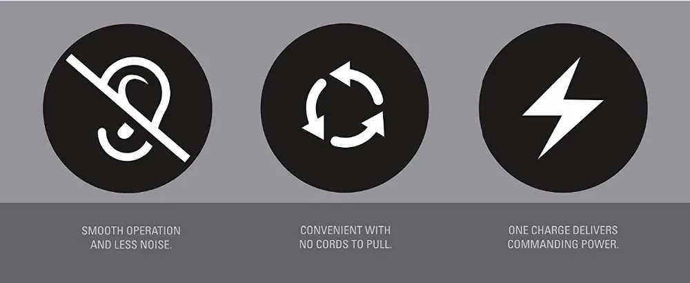 29cf0ce6-1b3f-4c23-9318-fe6e4e90ac30._CR0,0,3050,1250_PT0_SX1464__