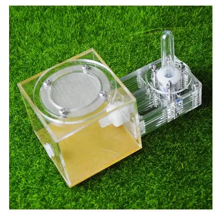 

Plaster Ant Nest Acrylic Ant Farm Ants Queen House Insect Cage Anthills Pet Ant Castle Granja De Hormigas Hormiguero