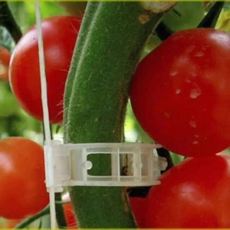 50 шт./упак. мини прозрачный Пластик зажимы для трансплантата зажимы для подвязки томатов завод Поддерживает одновременное подключение лозы растений для выращивания зажимы для трансплантата