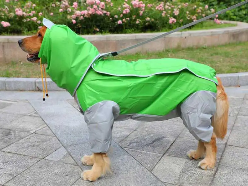 Pet большой плащ для собак из двери прогулки водонепроницаемый съемный дождевик защита от воды одежда для больших собак DOGGYZSTYLE - Цвет: gray and green
