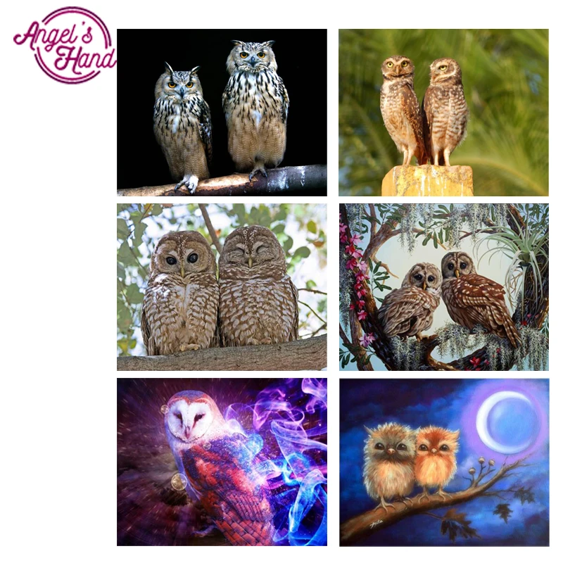 owl-17
