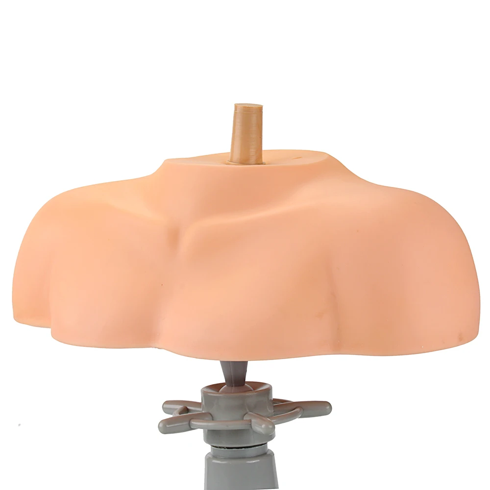 Buy PVC Female Training Head Shoulders Manikin Head