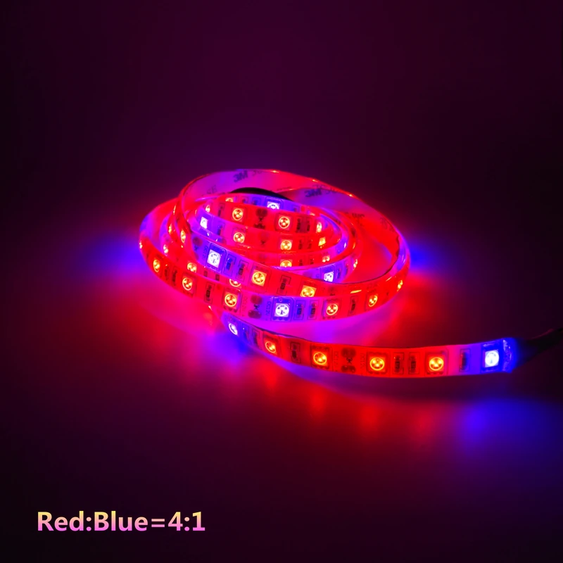 ReBlue Led лампы рассада светодиодный светильник AC/DC 12V растительная лампа для выращивания растений с питанием от источника full spectrum Led 3:1 4:1 5:1 для растений, 1 м, 2 м, 3 м, 5 м