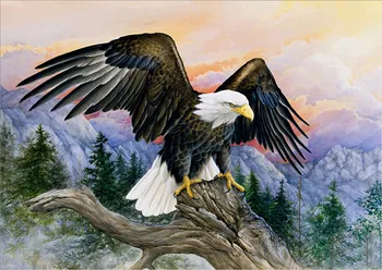 

5D Diamond Embroidery Paintings Rhinestone Pasted DIY Diamond painting Cross Stitch Kits eagle diamond mosaic Room Decor