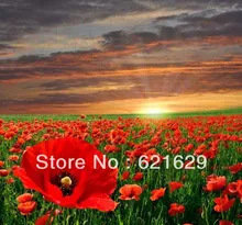Vast expanse flowers 8’x8′ CP Computer-painted Scenic Photography Background Photo Studio Backdrop DT-XY-0007