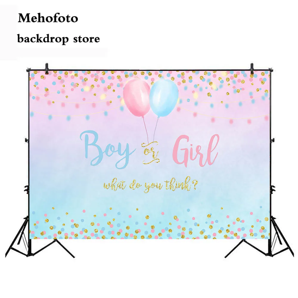 Gender Boy Or Girl Party Decoration Banner Photo Background
