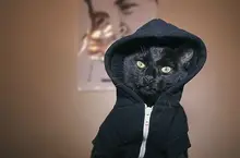 V***v