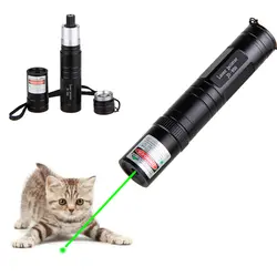 Зеленая лазерная указка ручка Видимый луч обучения ведущий свет охотничий лазер его можно использовать для забавы кошки