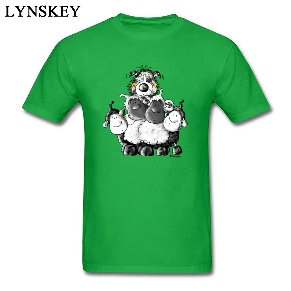 Australian Shepherd and sheep - Dog_green