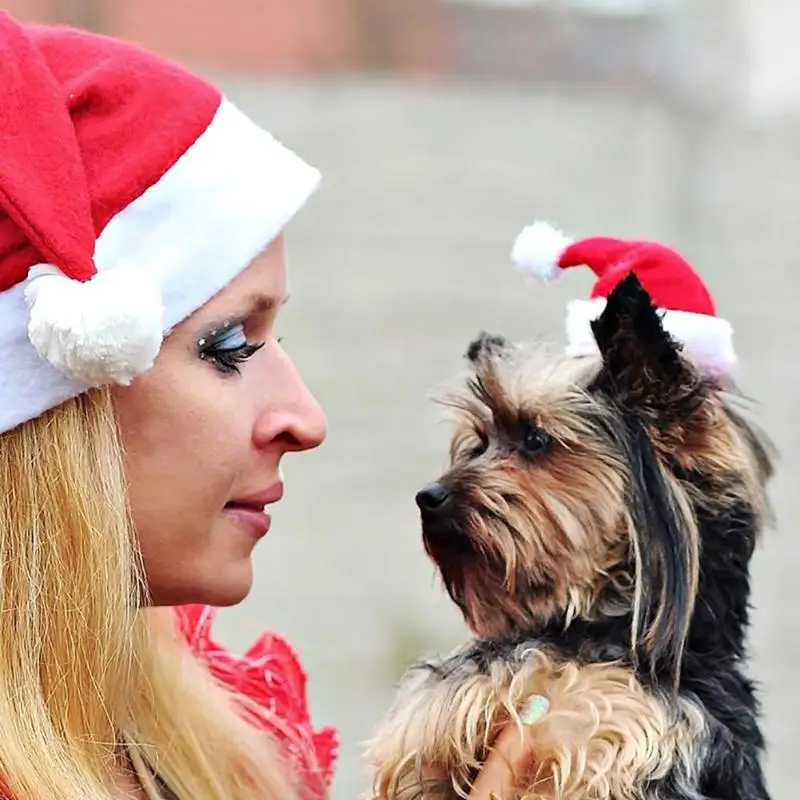 Милая собака кошка собака шляпа год плюшевая шапка собака аксессуары для маленьких собак День рождения Санта-Клаус Pet shop Dog acessorios