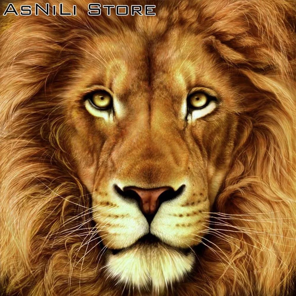 

5D diy Square / Round full Diamond Painting Cross Stitch 3D Diamond Embroidery kits Diamond Mosaic Animal Lion Home decor--4