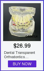 Cheap Modelo de Ensino Dental