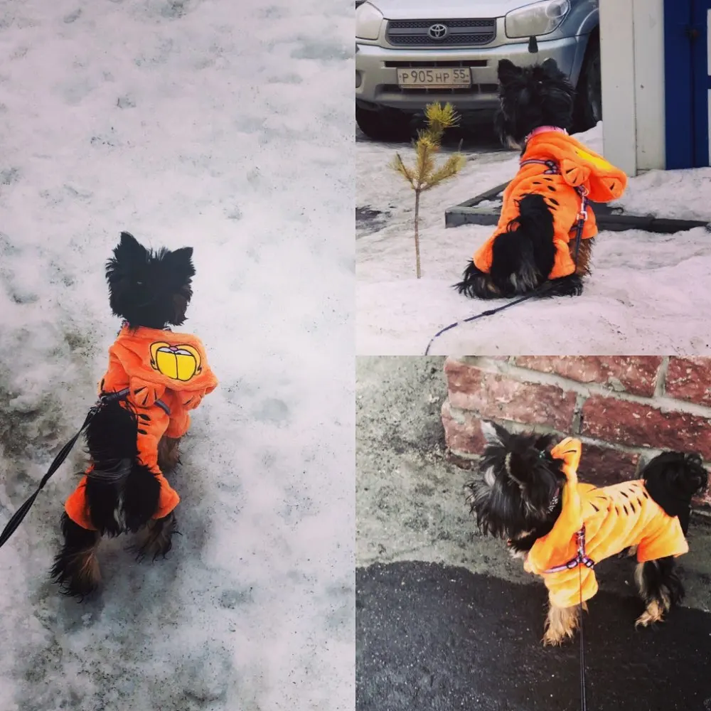 A46, зимний теплый комбинезон для собаки, одежда с рисунком Бэтмена и Гарфилда, пальто для собак с капюшоном, толстовки для щенков, куртки для чихуахуа