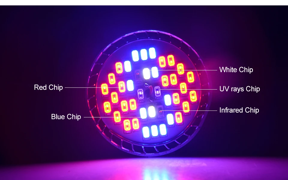 Phyto lamp led (12)