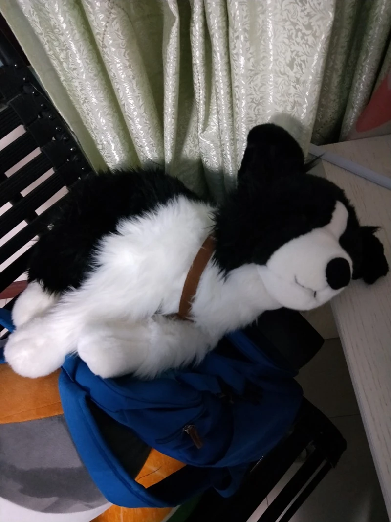 simulation animal dog plush  toy doll realistic border collie dolls pet animals for children friends gift decoration 24inch 60cm DY50409 (14)