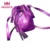 Bolsos Venta caliente solo bolso 2018 nueva arrivel mujeres ocasionales bolso cubo meassager monedero del bolso de La taleguilla