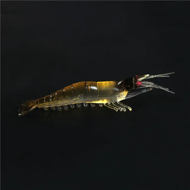 7972118041_1512030535